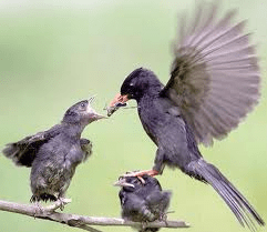 My daddy's not this bad!