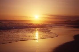 A privilege to have a hobby that puts THIS in my head